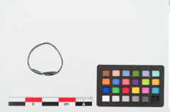 Foto von Bronzevolutenfingerring (NHMW-PRAE-025041)